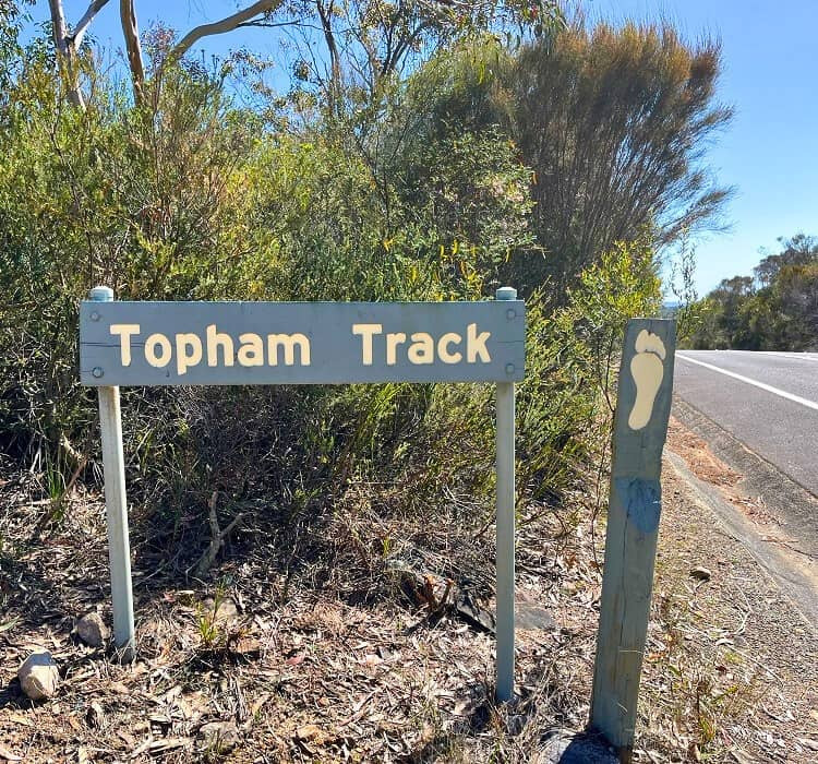 Topham Walking Track, Cottage Point NSW
